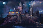 Harry Potter - Movie Poster  Print (Hogwarts By Night)
