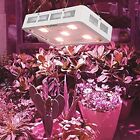 LED Light Grow Lamp Full Spectrum Indoor Plant Flower Growing 1500W W/ Switch