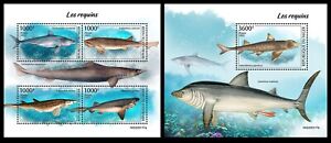 Niger 2023 Sharks. (117)