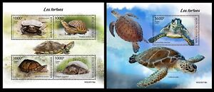Niger 2023 Turtles. (119)
