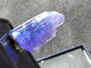 Blue Purple TANZANITE Crystal 23x10x6mm Merelini Hills Tanzania w/Case