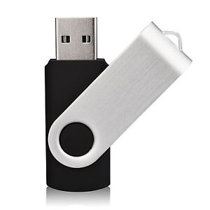 128MB 256MB 512MB 1GB 2GB 4GB 8GB USB 2.0 Metal Flash Pen Drive (Swivel Design)