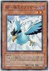 RGBT-JP010 - Yugioh - Japanese - Blackwing - Blizzard the Far North - Common