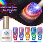 BORN PRETTY 10ml Reflective Cat Magnetic Rainbow Gel Nail Polish Semi Permanent