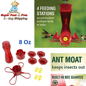 Hummingbird Feeder With Built In Bee Guards And Ant Moat Hanging Feeding Station