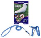 Premier Feather Tether Bird Harness and Leash LARGE CADET BLUE For Larger Macaws