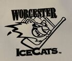 RARE WORCESTER ICE CATS LUNCH BAG SGA HOCKEY AHL NEW WHITE