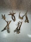 Deer Antlers Lot Of 6 Sets Of Horns Rustic Decor Wild Game