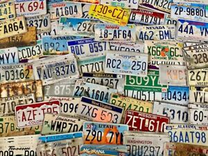 Bulk Lot of 100 Roadkill Condition License Plates From At Least 30 States
