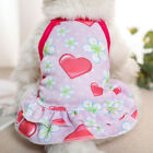 New Pet Clothes Summer Breathable Cool Dress For Small Dog And Cats Braces Skirt