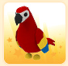 Parrot | PET NEW 2024 | ADOPT from Me | Legendary Pet - Fast Delivery!!