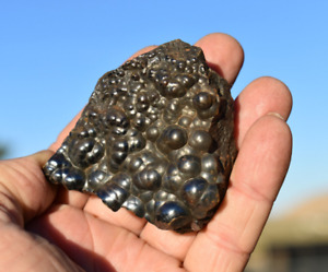 Botryoidal HEMATITE Mineral Specimen * Shiny Iron Ore Mineral * Morocco