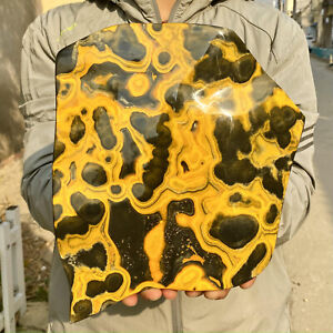 New Listing8.2LBNatural Bumblebee Jasper Quartz Crystal Disply Freeform Reiki Stone Healing
