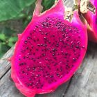 50 Red Dragon Fruit Seeds Pitaya Pitahaya Hylocereus Undatus Cactus Grow Rare