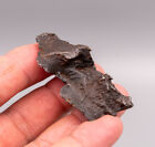 Sikhote-Alin Meteorite  58.1g                                0923