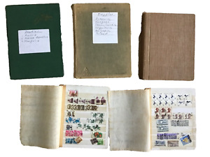 Grandpa's International Stamp Collection Albums -Lots Of Photos!