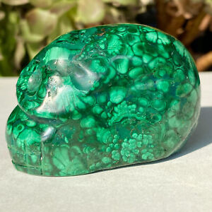 278G Natural Gemstone Malachite Quartz Crystal Skull Carved Healing Reiki Decor