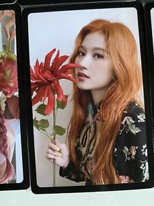 Twice Sana More and More Offical Pre Order Photocard