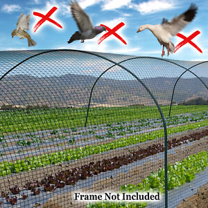 Durable Anti Bird Netting for Bird Poultry Aviary Game Pens Net Barrier Garden