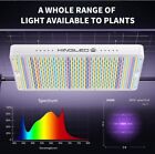 KING 2000W Full Spectrum LED Grow Light Hydroponics For Indoor Plants US