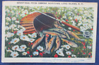 1945 Moriches Long Island New York Fish Fishing Greeting Postcard