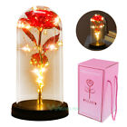 Mother's Day Gift Eternal Rose Flower LED Enchanted Galaxy Rose Girlfriend Gifts