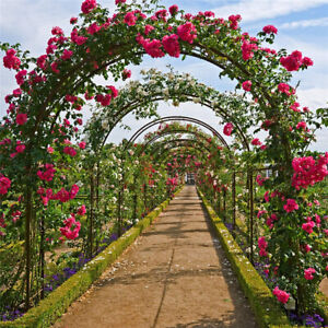 Heavy Duty Metal Garden Arch Trellis Arbour Outdoor Rose Climbing Plants Stand