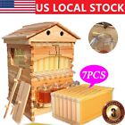 Wood Langstroth Bee Hives Boxes House + 7x Free Flow Bee Frames Beekeeping Frame