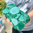 3.19LB Large Natural glossy Malachite transparent cluster rough mineral sample.