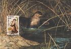 River Otter Fauna World Wildlife Canada USA Art Mint Florida Maxi Card FDC 1987
