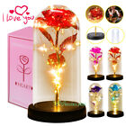 Enchanted Eternal LED Rose Flower In Glass Dome LED Light Valentine's Day Gift