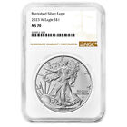 2023-W Burnished $1 American Silver Eagle NGC MS70 Brown Label