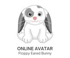 Webkinz Classic Floppy Eared Bunny Virtual Adoption *Pet Code Only* Messaged