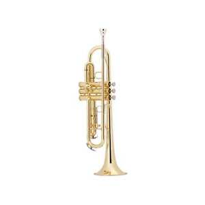 King Student Bb Trumpet Outfit, Lacquer