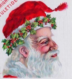 SANTA Claus Profile~Wears Holly Crown~EMBOSSED~1914 Antique CHRISTMAS  Postcard