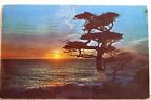 Scenic Pacific Ocean Sunset Postcard Old Vintage Card View Standard Souvenir PC