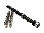 Chevy 305 327 350 400 Cam+Lifters+Springs Stage 2 Street Perf Kit 218/218 @050 (For: 1993 Pontiac Firebird Formula)