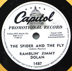 Ramblin Jimmy Dolan Spider and the Fly DJ 78 NM I'm Alone Western -Coupons!