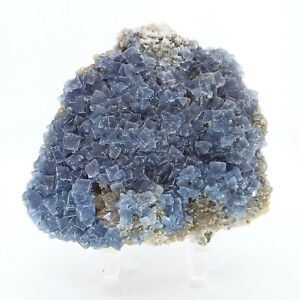 Cubic Fluorite, crystal, cluster, specimen, display, blue, #R-1755