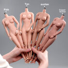 1/6 Suntan/Pale/Normal Large Bust Breast Seamless Body For 12''Female Figure Toy
