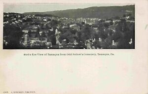 A Bird's Eye View From The Odd Fellow's Cemetery, Tamaqua, Pennsylvania PA 1907