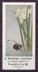 s8252/ Germany Lürman Poster Stamp Label # Japan Flower Bird Art Painting