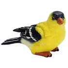 New ListingGold Finch S Outdoor Bird Figurine for Gardens patios and lawns (80087)