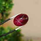 9.1 Ct 6 Rays Natural Red Star Ruby Oval Cabochon Certified Loose Gemstone
