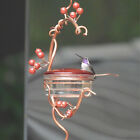 Bowl Shape Courtyard Bird Feeder Red Berries Hummingbird Feeder +Feeder Hook