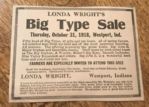 ORIGINAL 1918 Boar Public Sale Westpoint - Indiana - Farm Advertising - Hog Pig