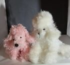 Two Poodles For Adoption (Small Fee) By Ganz