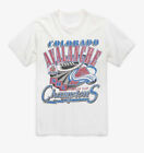 Vintage 1996 Colorado Avalanche Retro Graphic T-Shirt Gift Fans