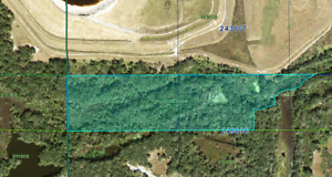 37.5 AC Land, near pond, Bartow, Florida, Owed Taxes, Tax Cert