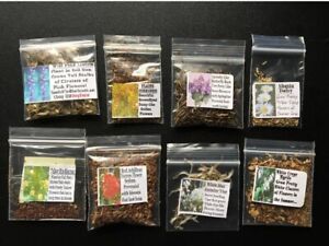 LOTS OF VARIETY OF 8 DIFFERENT KINDS OF FLOWER SEEDS GREAT DEAL!  #25 USA Seller